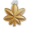 Das Battlefield 3 Rangsystem: Vom Rekrut zum Colonel 100 192 r43
