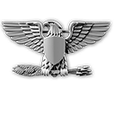 Das Battlefield 3 Rangsystem: Vom Rekrut zum Colonel 100 194 r45