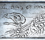 XP4 PROMO Bird of Prey Dogtag