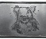 Battlefield 4 Erweiterungspack “Naval Strike” 24 dogtag NS 008