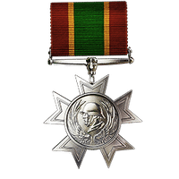DICE verrät mehr über die Medaillen in Battlefield 1 20 legion-of-the-wolf