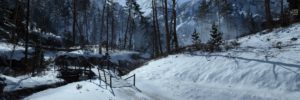 Battlefield 1 CTE: Lupkow Pass nun verfügbar + Screenshots und Gameplay 9 BF1 Lukow Pass CTE Screenshot 24