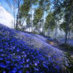 blue forests firestorm teaser