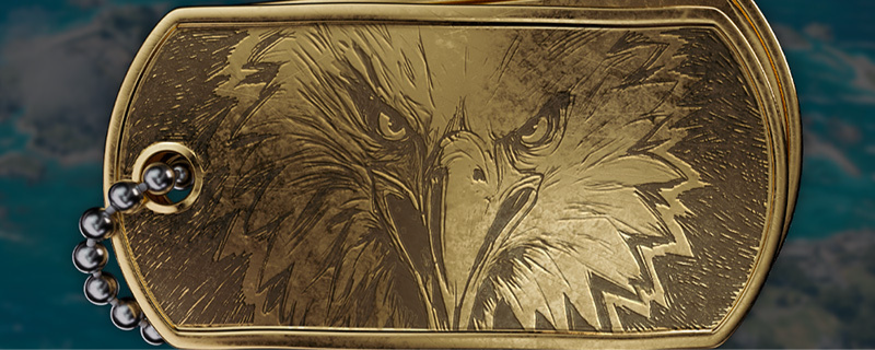 Battlefield 6: So nehmt ihr am "Hunt the Carrier" Discord Event teil und schaltet exklusive Belohnungen frei 1 battlefield 6 22Eagles Stare22 Dog Tag